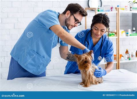 Animal Doctors Veterinary Hospital.